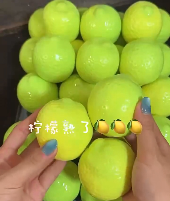 Đồ chơi Squishy Handmade hình quả chanh đổi màu theo nhiệt độ