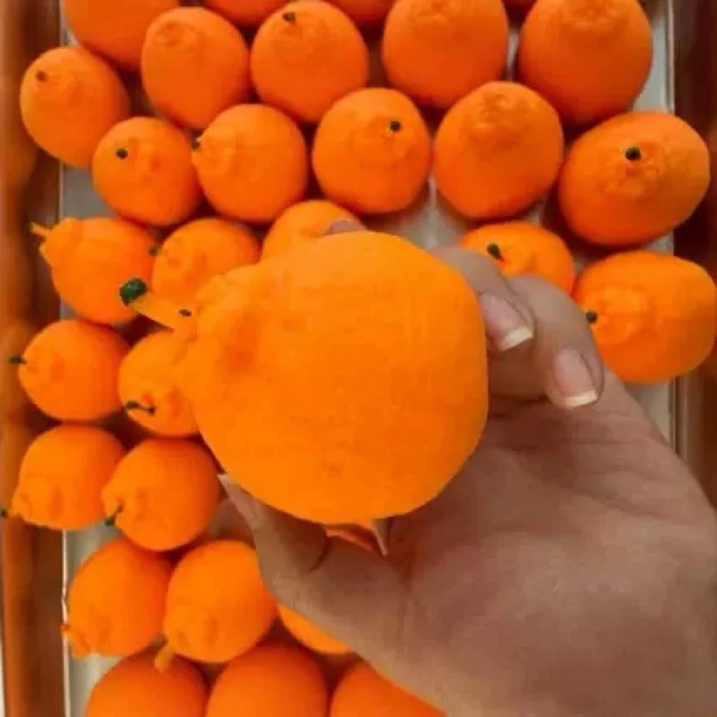 Squishy hình trái cam dài